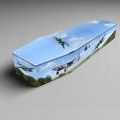 coffins