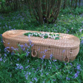 coffins